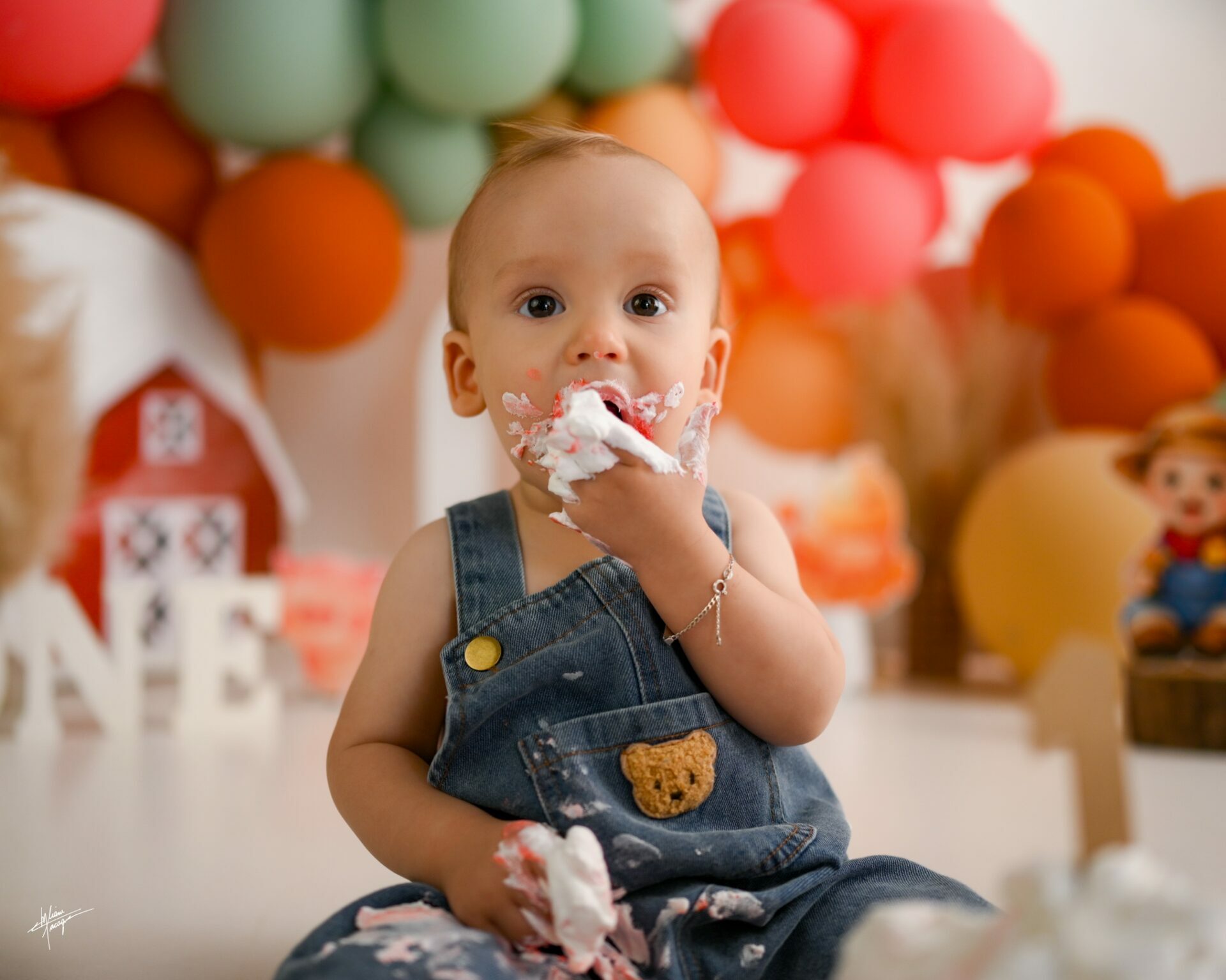 Smash the Cake - Menino