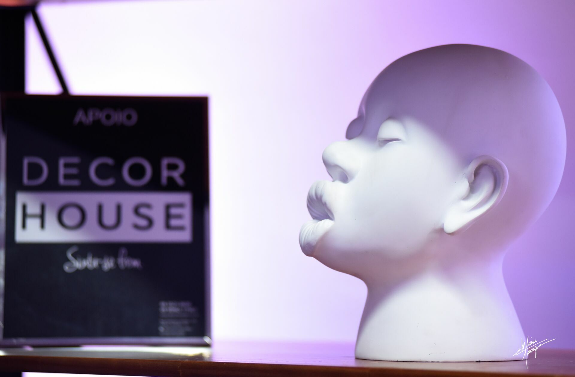 Foto Ara Bleu - Palestra Leila Ama - Imagem 31