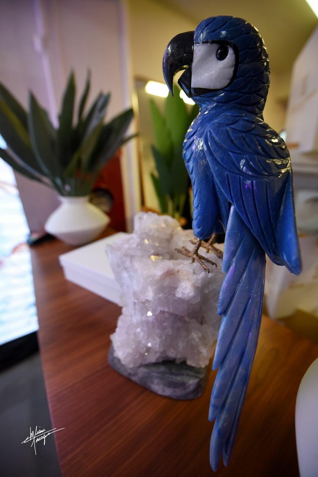 Foto Ara Bleu - Palestra Leila Ama - Imagem 33