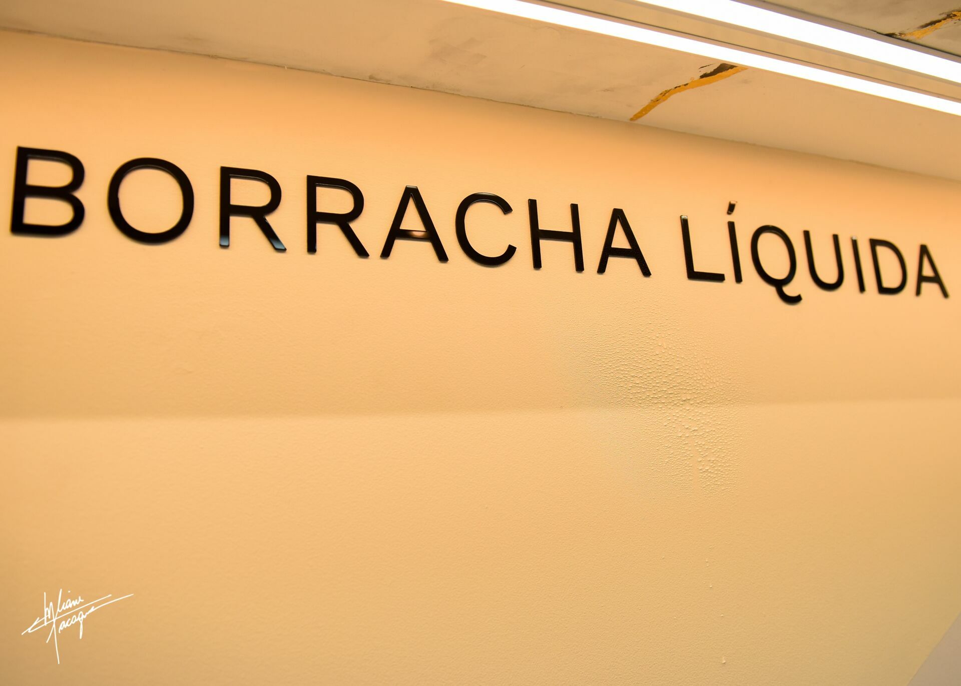 Foto Inauguração DecorColors  - Imagem 1