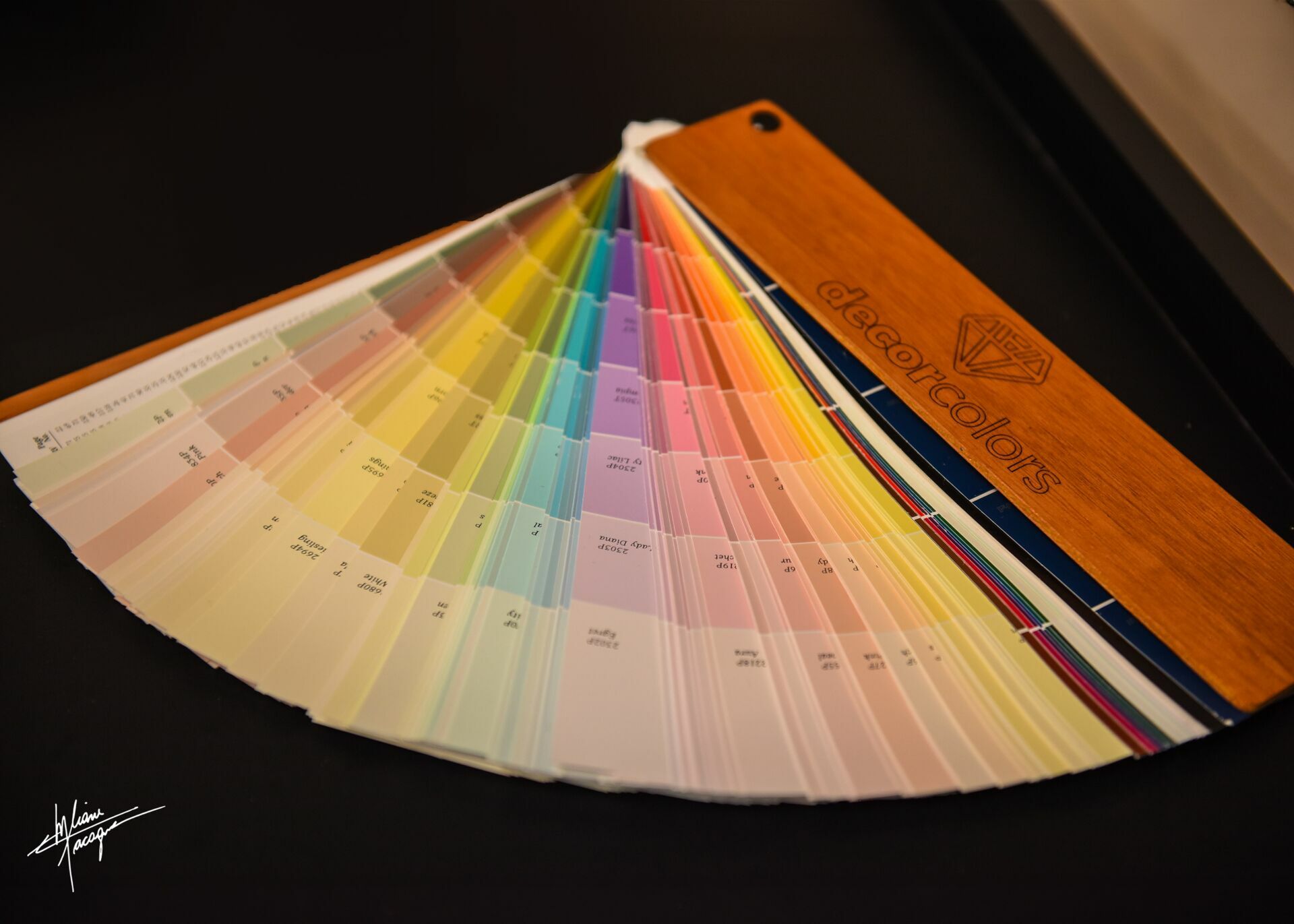 Foto Inauguração DecorColors  - Imagem 14